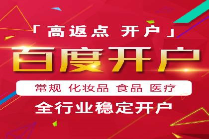 成功运用SEM服务实现品牌快速成长的案例